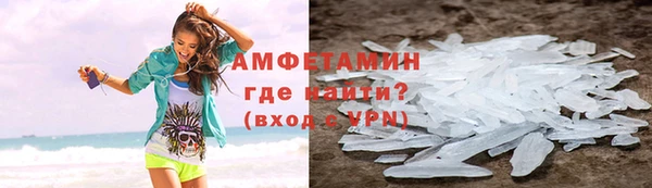 молекула духа Туринск