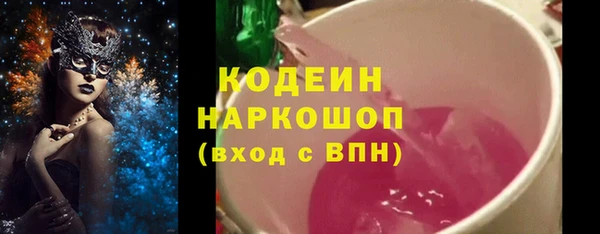 молекула духа Туринск