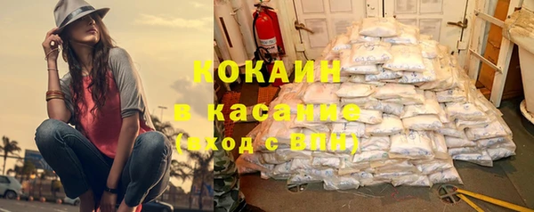 молекула духа Туринск