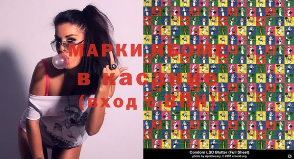молекула духа Туринск