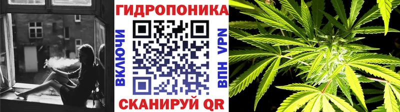 Канабис тримм  kraken вход  Кочубеевское 
